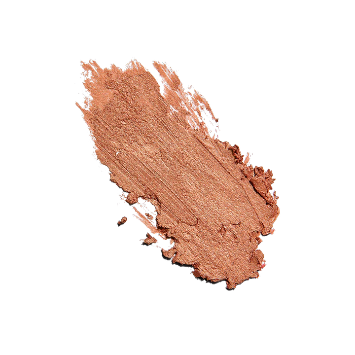 Sunforgettable® Total Protection™ Color Balm SPF 50